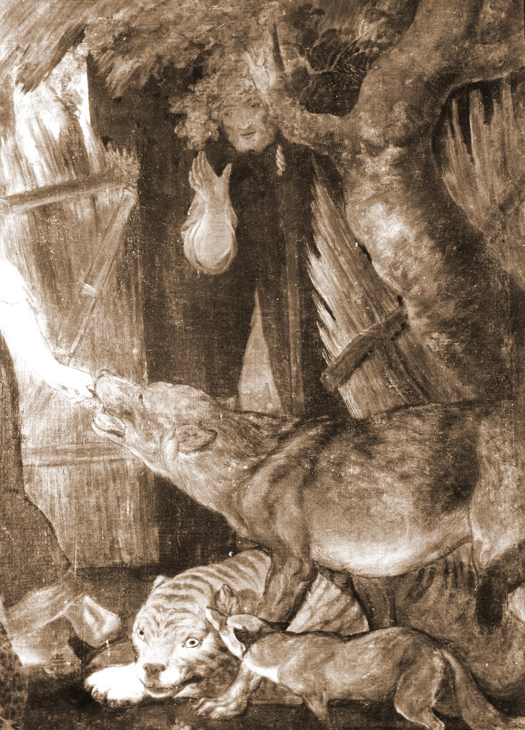 Detail of S. Maria di Collemaggio, L'Aquila, Abruzzo by Anonymous
