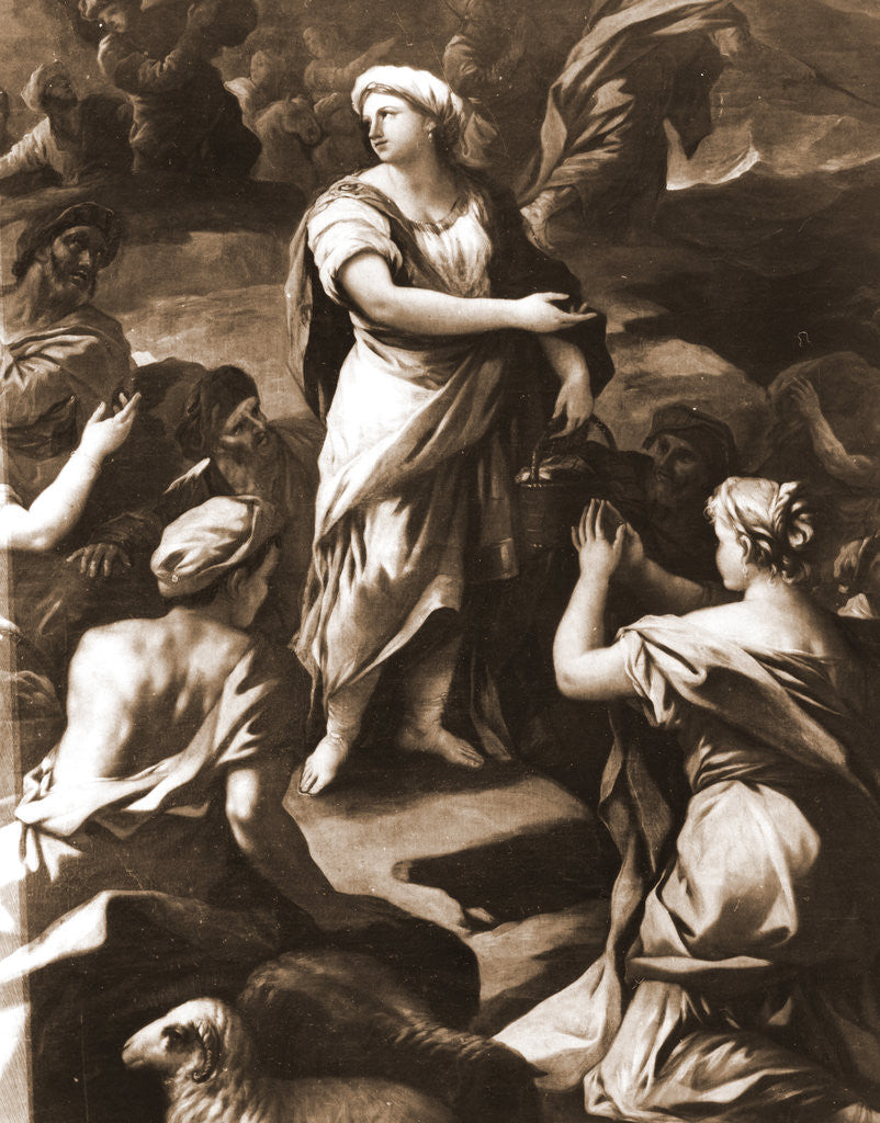 Detail of S. Maria di Collemaggio, L'Aquila, Abruzzo by Anonymous