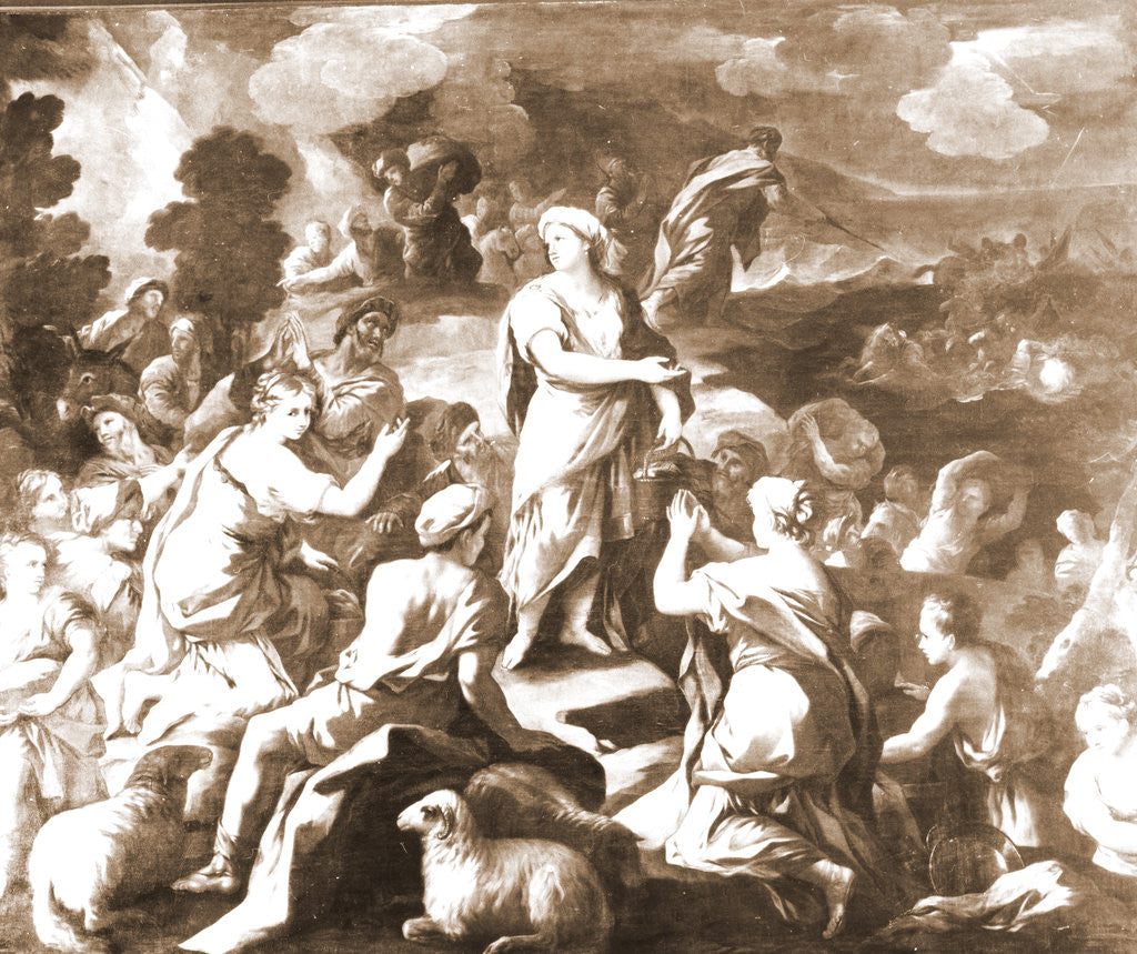 Detail of S. Maria di Collemaggio, L'Aquila, Abruzzo by Anonymous