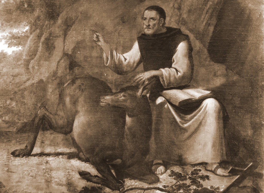 Detail of S. Maria di Collemaggio, L'Aquila, Abruzzo by Anonymous