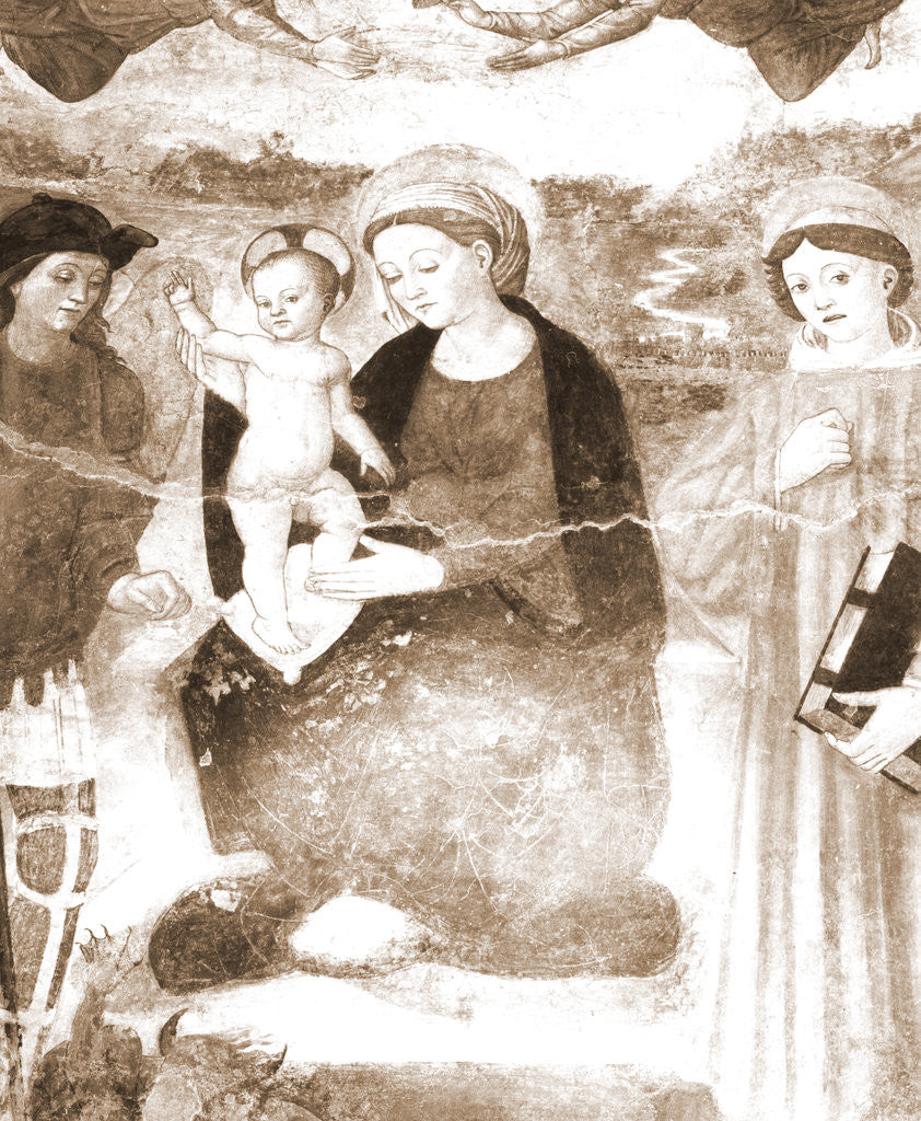 Detail of S. Maria di Collemaggio, L'Aquila, Abruzzo by Anonymous