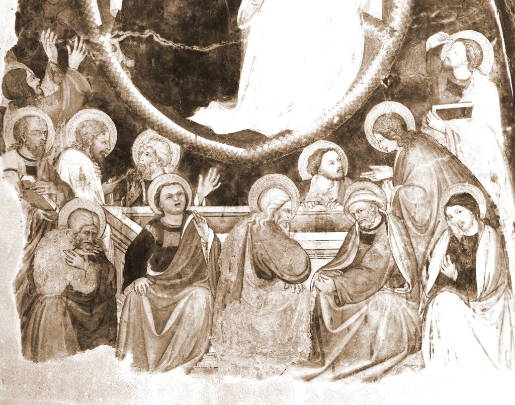 Detail of S. Maria di Collemaggio, L'Aquila, Abruzzo by Anonymous