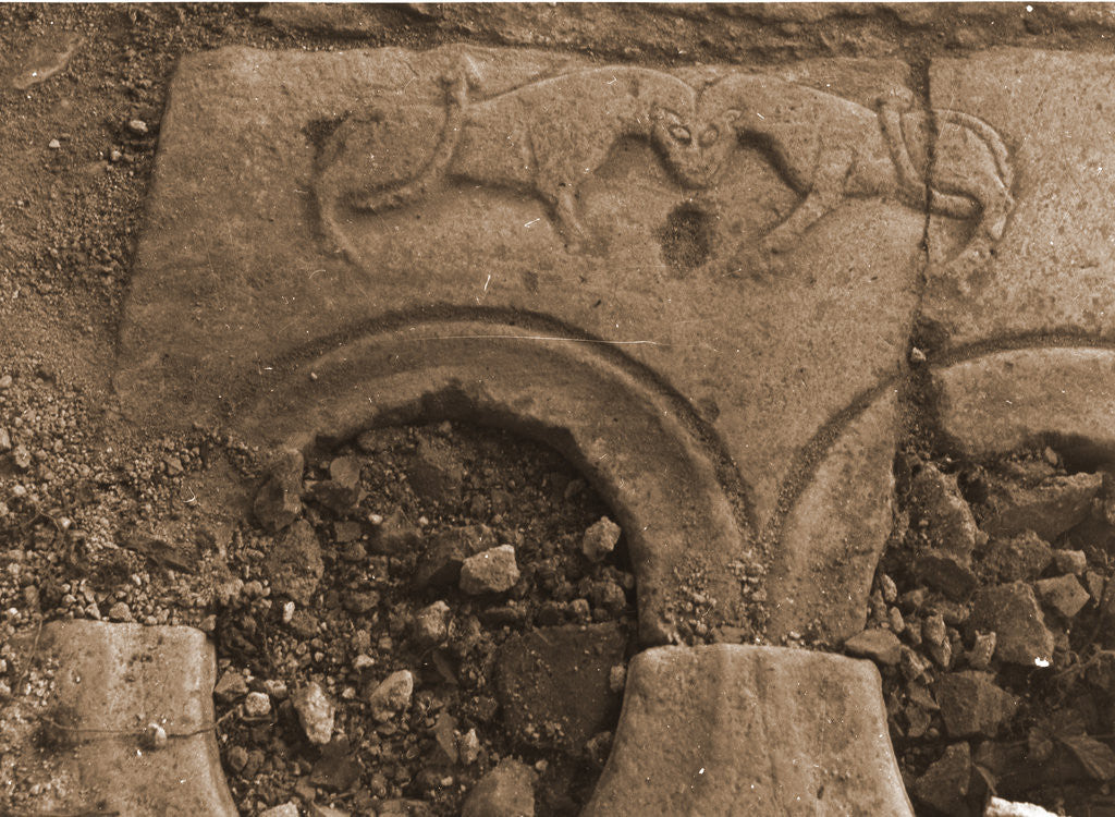 Detail of S. Cipriano, Castelvecchio Calvisio, L'Aquila, Abruzzo by Anonymous