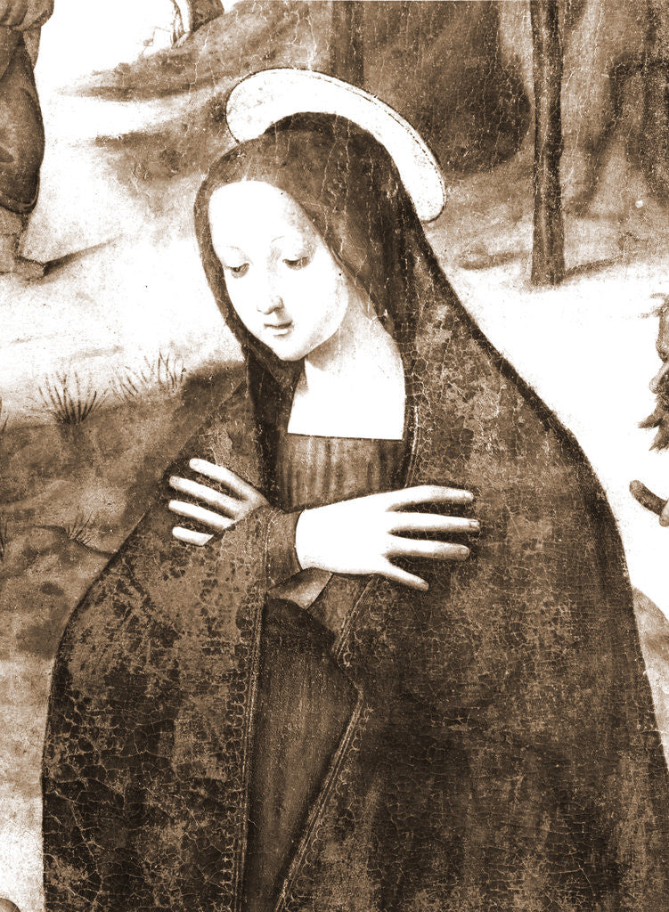 Detail of Museum, Celano, L'Aquila, Abruzzo by Anonymous