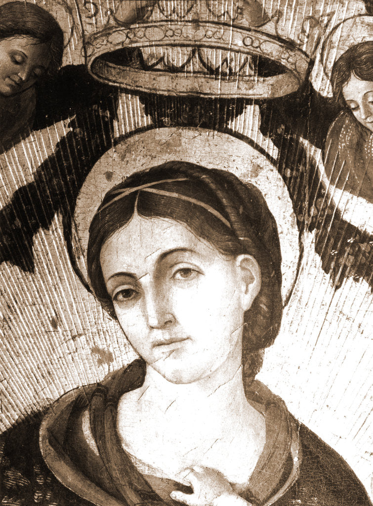 Detail of Museum, Celano, L'Aquila, Abruzzo by Anonymous