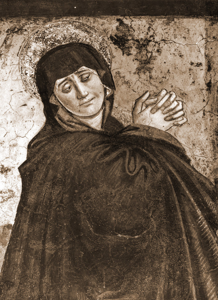 Detail of Museum, Celano, L'Aquila, Abruzzo by Anonymous