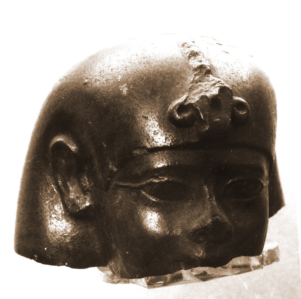 Detail of Museo Nazionale di Antichita, Chieti, Chieti, Abruzzo by Anonymous