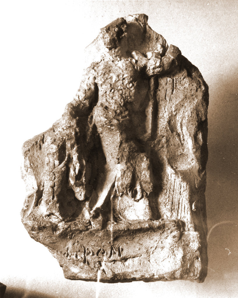 Detail of Museo Nazionale di Antichita, Chieti, Chieti, Abruzzo by Anonymous