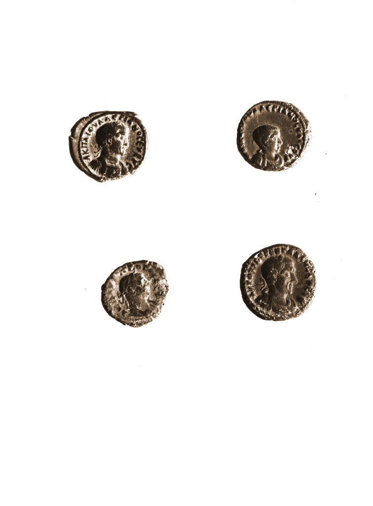 Detail of Museo, S. Giuliano, L'Aquila, Abruzzo by Anonymous