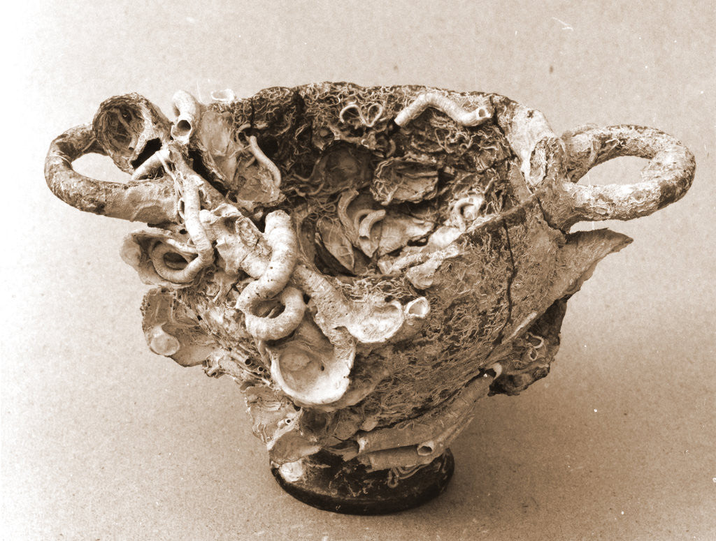 Detail of Museo, S. Giuliano, L'Aquila, Abruzzo by Anonymous