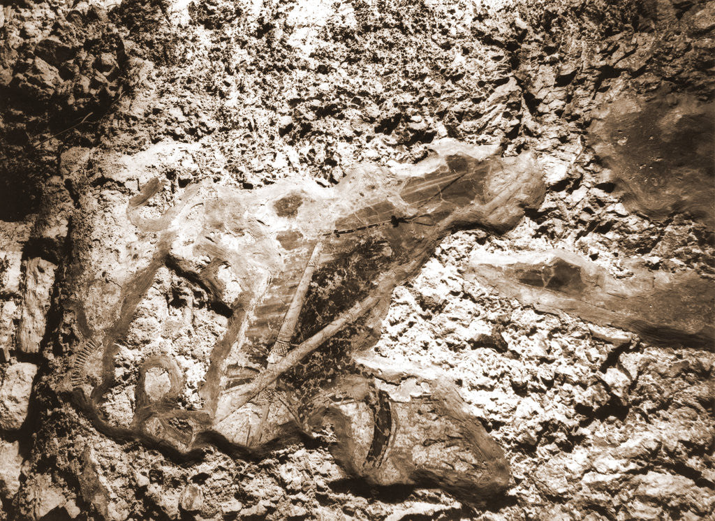 Detail of Imag, Catacomb of S. Vittorino, San Vittorino, L'Aquila, Abruzzo by Anonymous