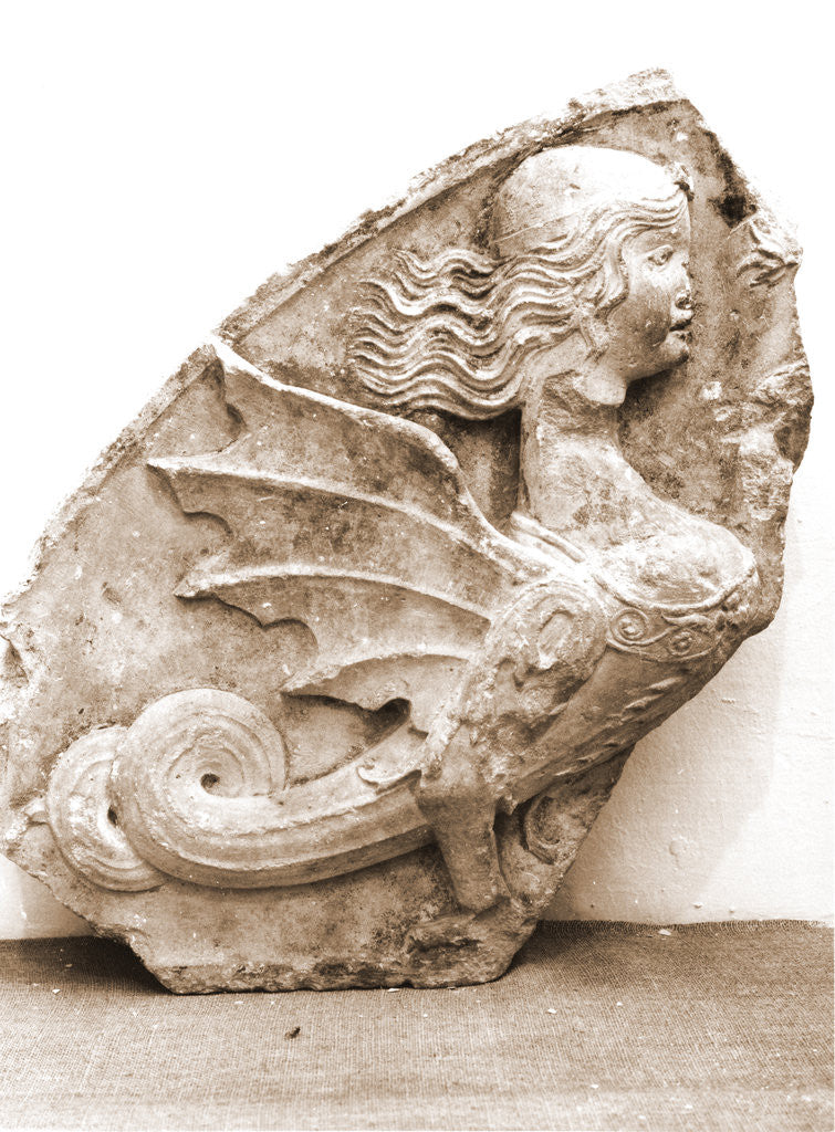 Detail of Museo Civico, Sulmona, L'Aquila, Abruzzo by Anonymous