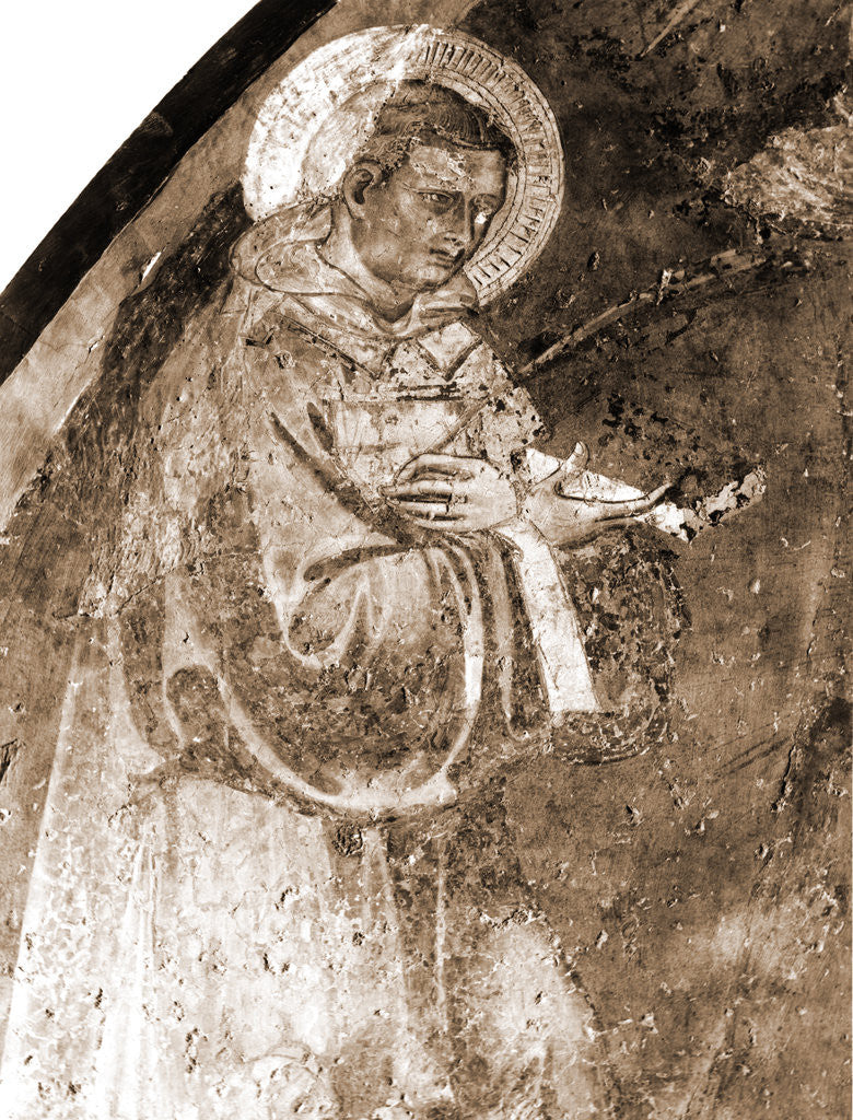 Detail of Museo Civico, Sulmona, L'Aquila, Abruzzo by Anonymous