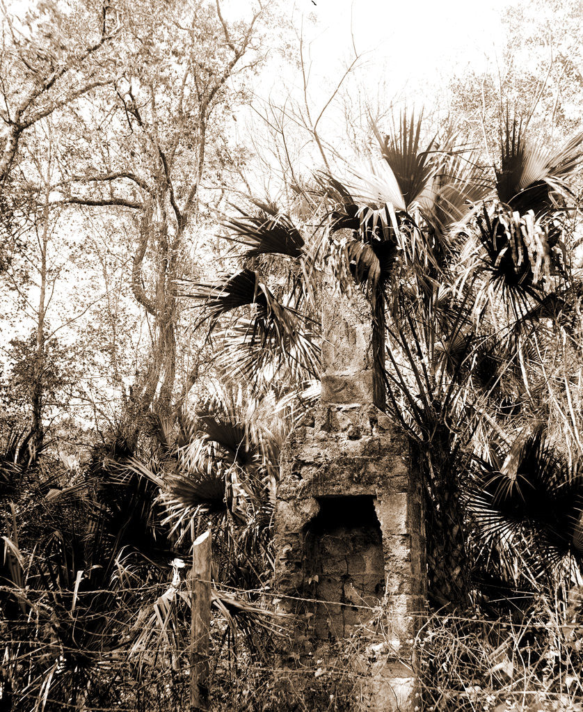 Detail of Chimneys, Ormond hammock, The, Jackson, Chimneys, Ruins, United States, Florida, Ormond Beach, 1880 by William Henry