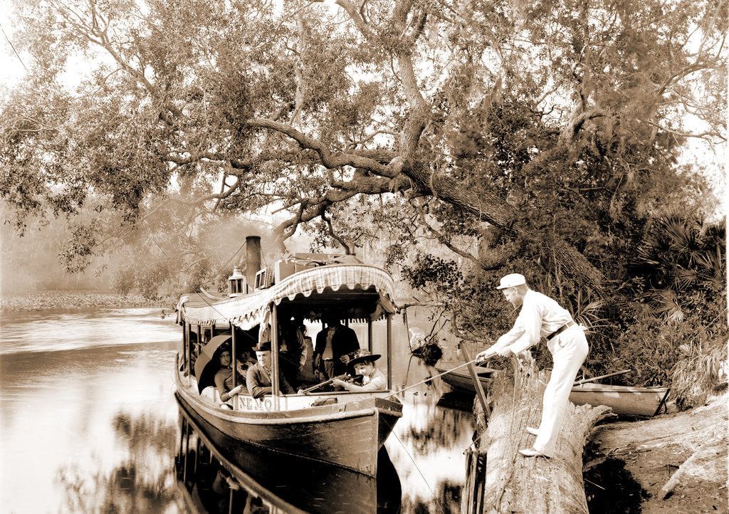 Detail of On the Tomoka, Jackson, Steamboats, Waterfronts, Rivers, United States, Florida, Tomoka River, 1880 by William Henry