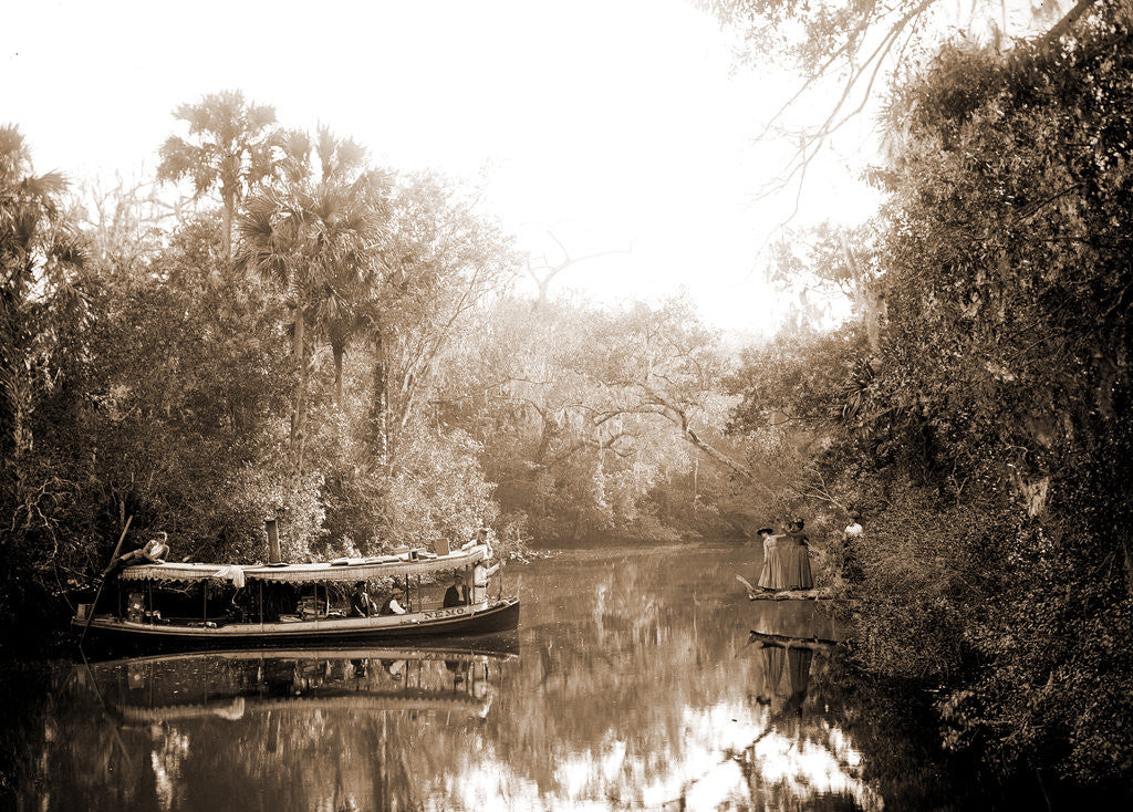 Detail of Boating on the Tomoka, Jackson, Steamboats, Rivers, United States, Florida, Tomoka River, 1880 by William Henry
