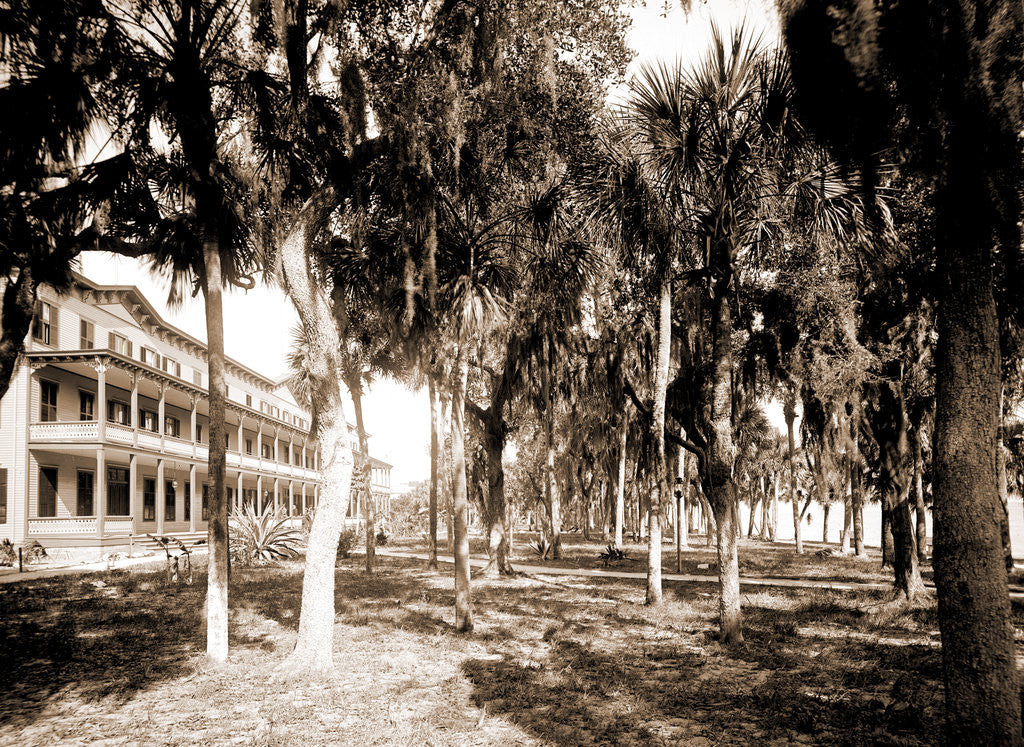Detail of Hotel Rockledge, Indian River, Jackson, Hotel Rockledge (Fla.), Hotels, Palms, Bays, United States, Florida, Indian River, 1880 by William Henry