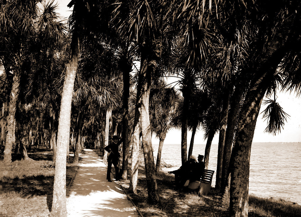 Detail of The walk at Rockledge, Indian River, Jackson, Hotels, Trails & paths, Waterfronts, Bays, United States, Florida, Indian River, 1880 by William Henry