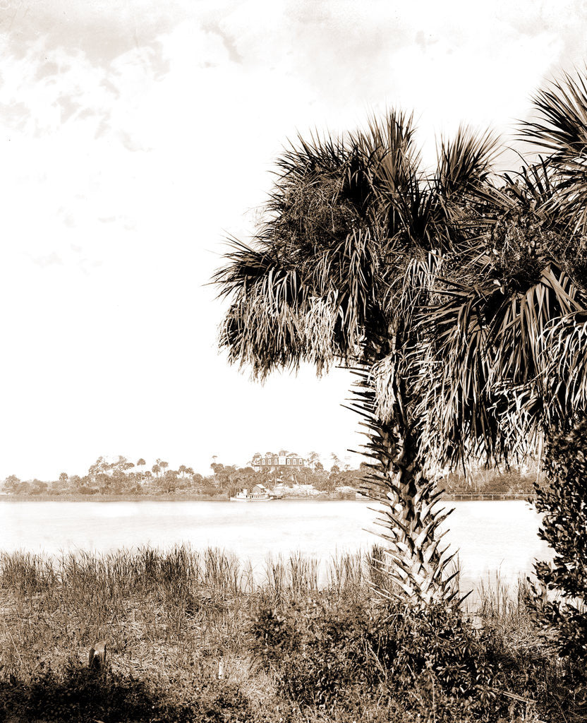 Detail of Landing at Eau Gallie, The, Jackson, Palms, Waterfronts, Bays, United States, Florida, Indian River, United States, Florida, Eau Gallie, 1880 by William Henry