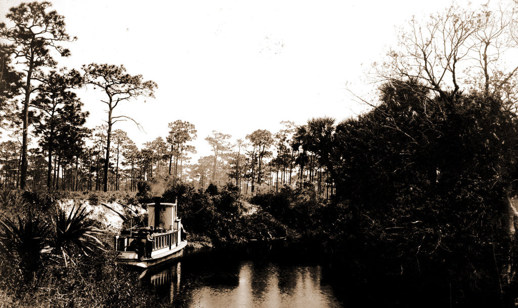 Detail of Sebastian Creek, Jackson, Steamboats, Streams, United States, Florida, Indian River, 1880 by William Henry