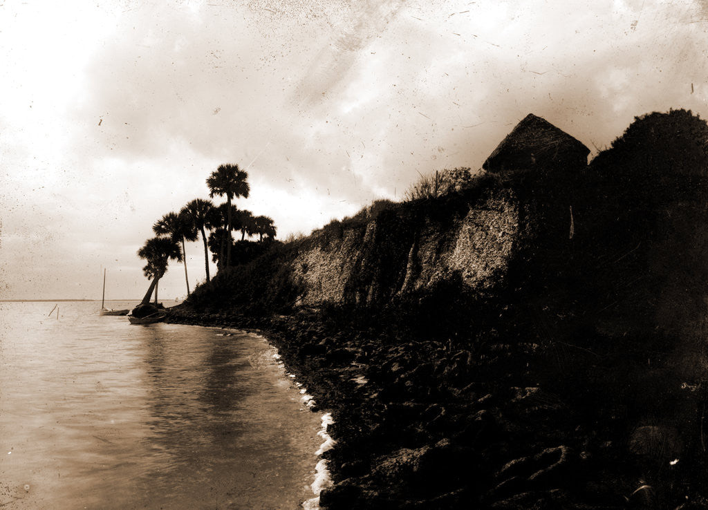 Detail of Shell mound Barker's Bluff, Indian River, Jackson, Waterfronts, Bays, United States, Florida, Indian River, United States, Florida, Barker's Bluff, 1880 by William Henry