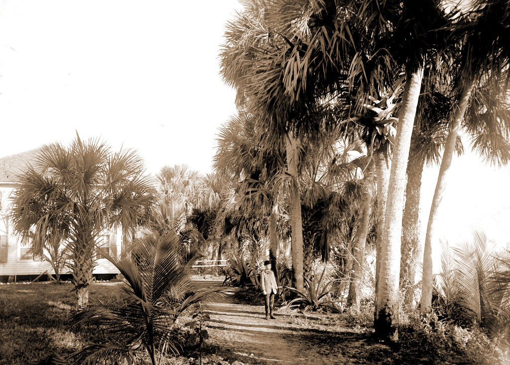Detail of Hotel at Eden, Indian River, Jackson, Hotels, Bays, United States, Florida, Indian River, United States, Florida, Eden, 1880 by William Henry