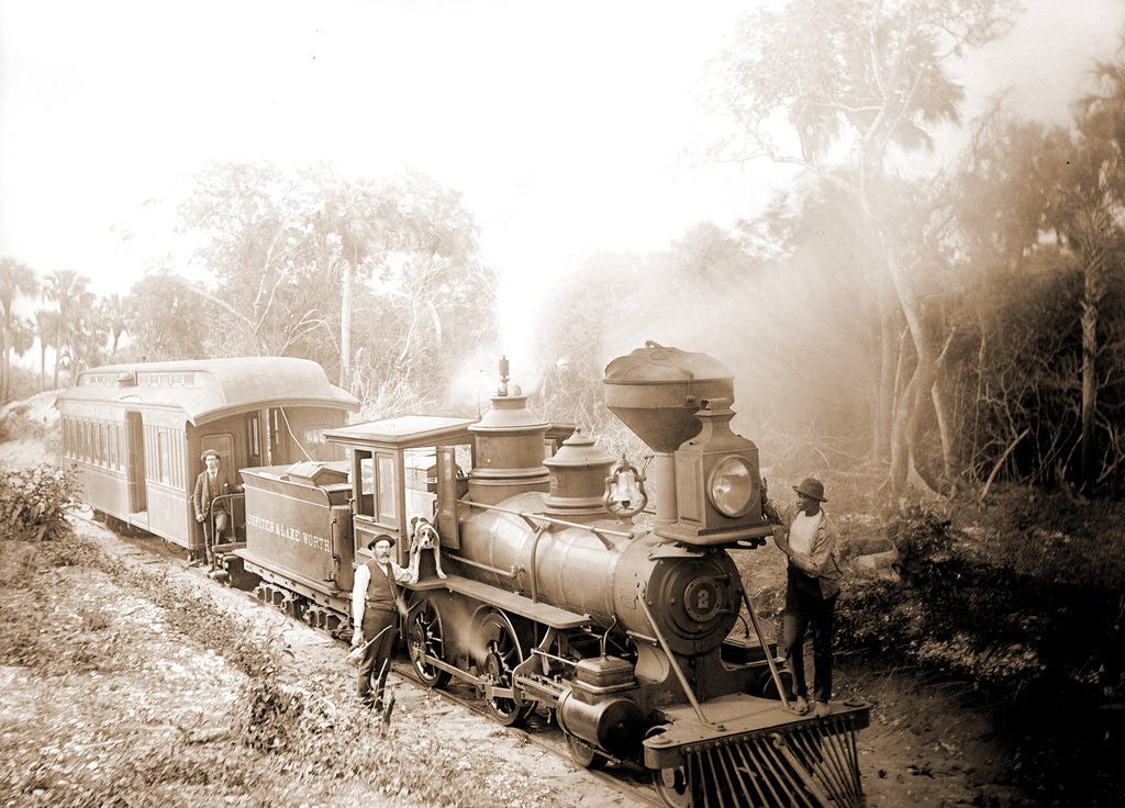 Detail of Jupiter & Lake Worth R.R, Jackson, Jupiter & Lake Worth Railroad, Railroad companies, Railroad locomotives, United States, Florida, Jupiter, 1880 by William Henry