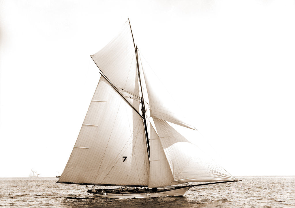 Detail of Gossoon, July 10, 1890, Gossoon (Sloop), 1890 by Anonymous