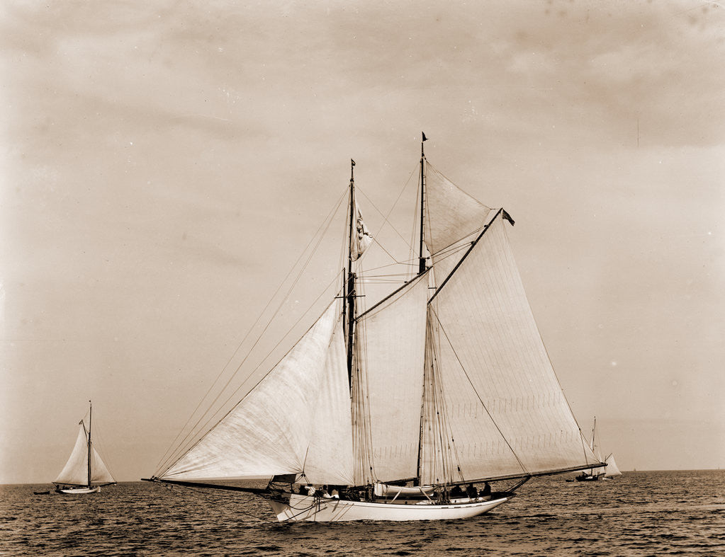 Detail of Monhegan, August 1, 1890, Monhegan (Yacht) by Anonymous