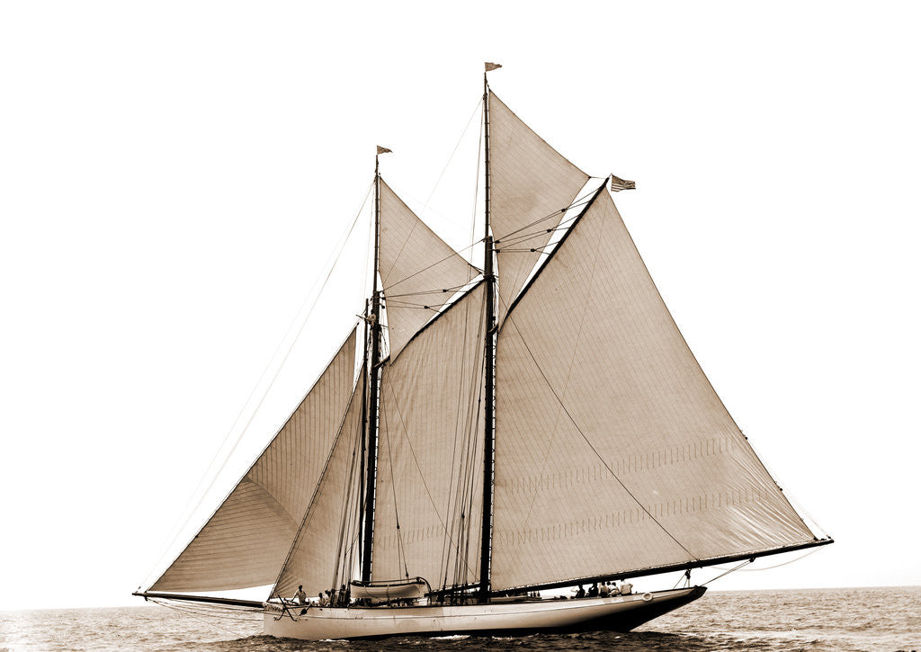 Detail of Grayling (Schooner), 1890 by Anonymous