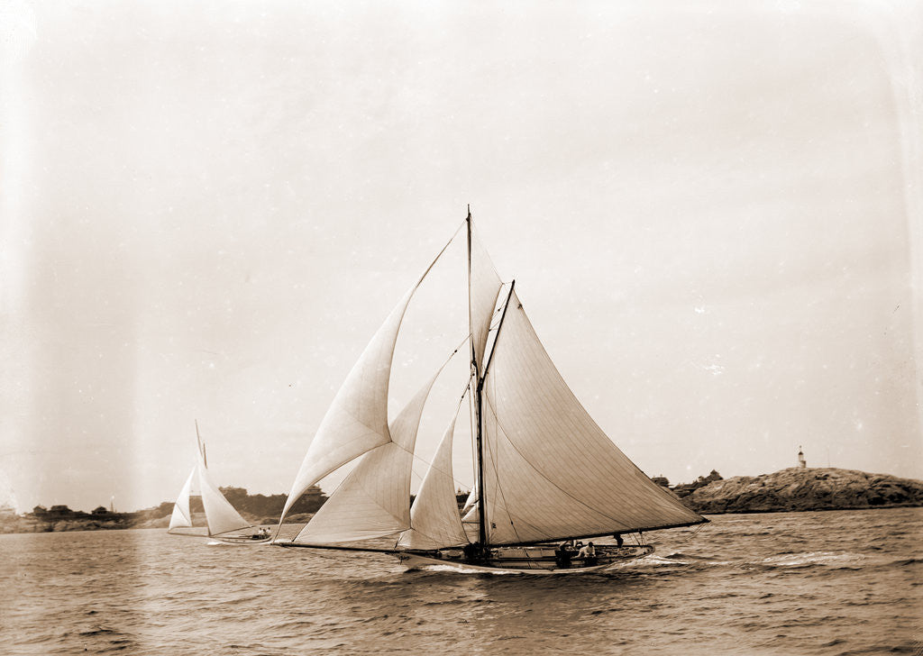 Detail of Shark (Yacht) by Anonymous