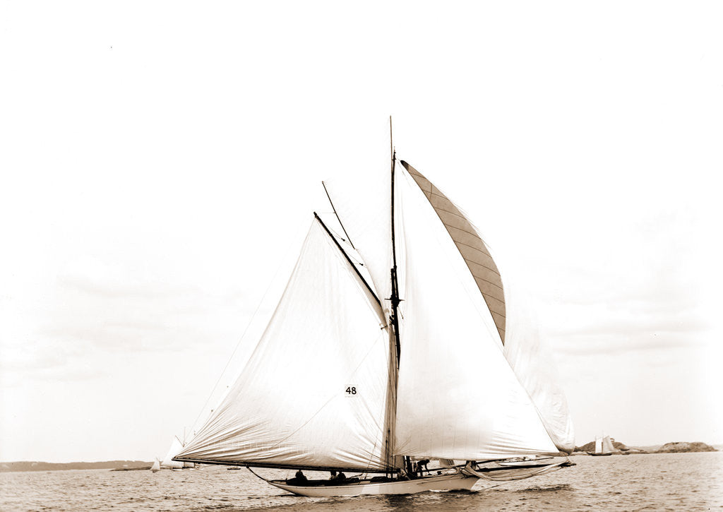 Detail of Ventura (Yacht) by Anonymous