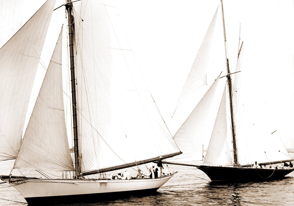 Detail of Start, Gossoon and Minerva, Gossoon (Sloop), Minerva (Yacht) by Anonymous