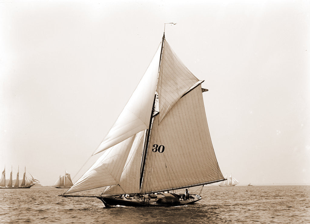 Detail of Saona (Yacht) by Anonymous