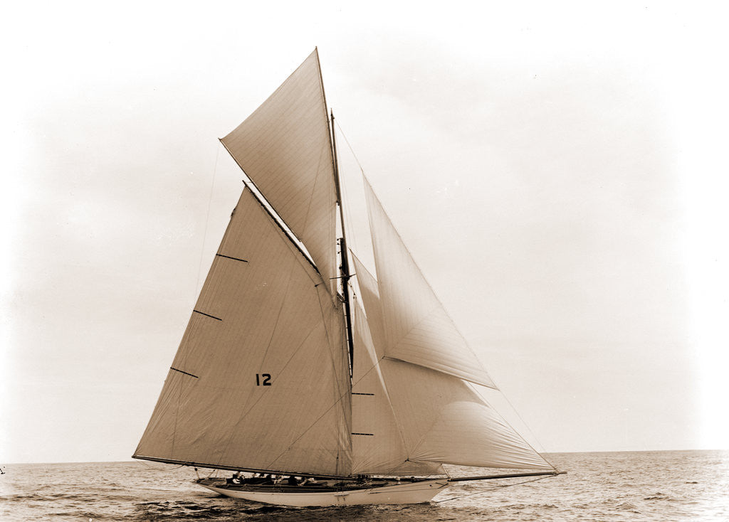 Detail of Beatrix, Harpoon (Yacht) by Anonymous