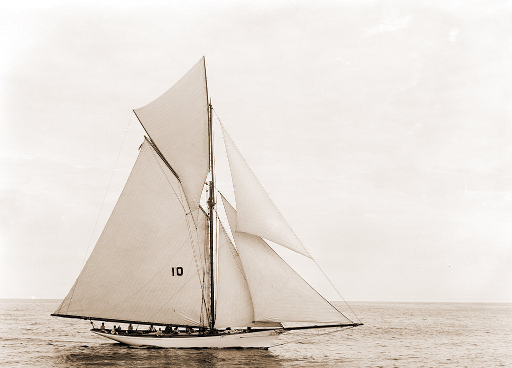 Detail of Thelma (Yacht) by Anonymous