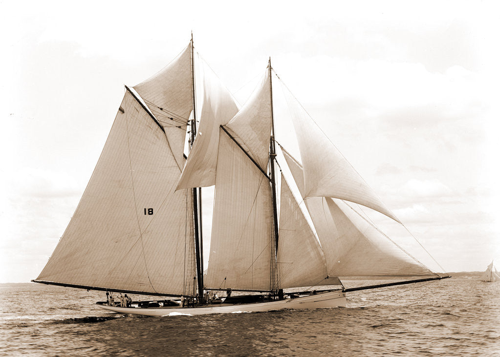 Detail of Mayflower (Schooner), 1891 by Anonymous