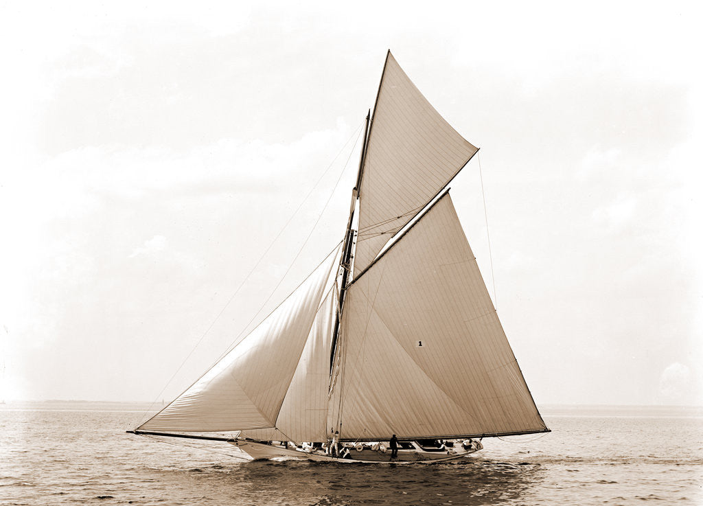 Detail of Beatrix, Harpoon (Yacht) by Anonymous
