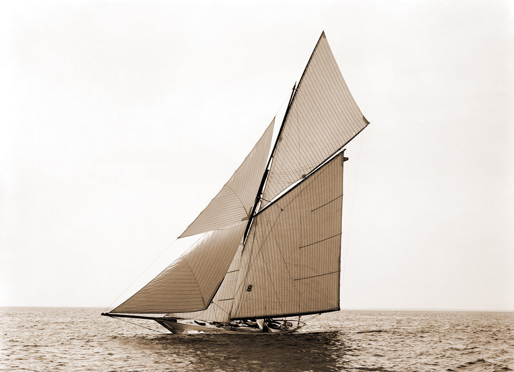 Detail of Gloriana, Goelet Cup Race, Gloriana (Yacht) by Anonymous