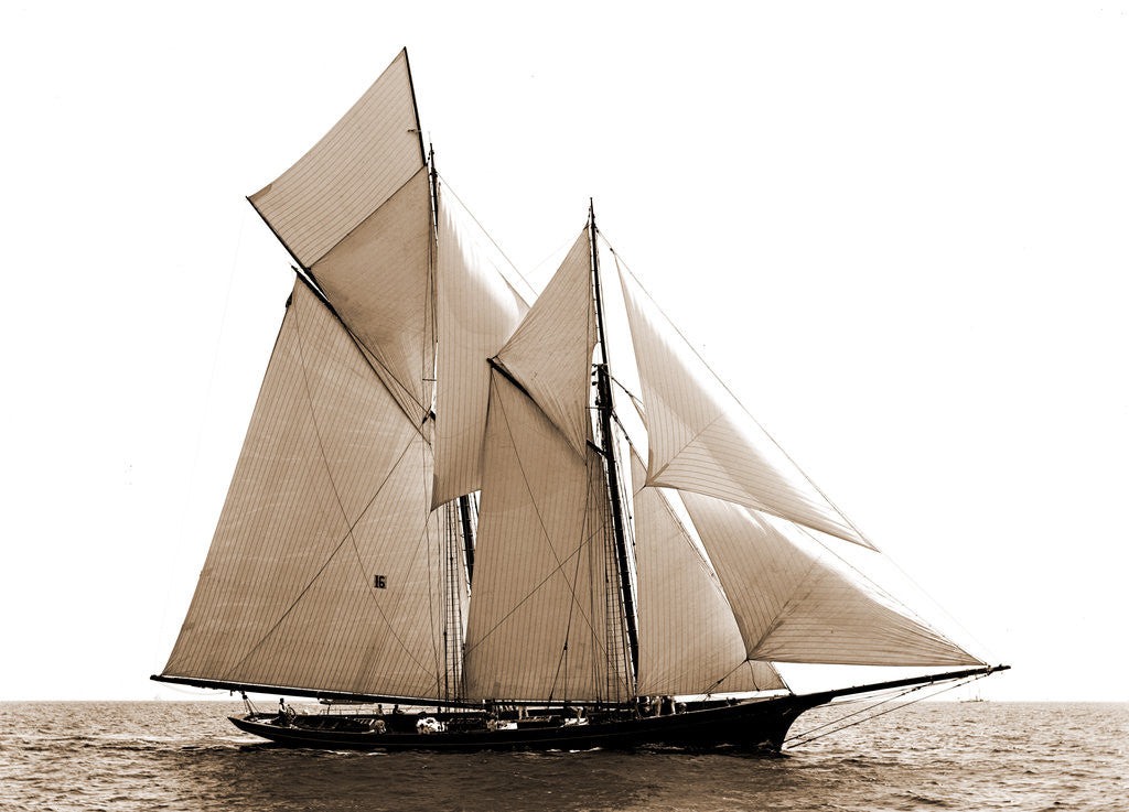 Detail of Fortuna, Goelet Cup Race, Fortuna (Schooner), 1891 by Anonymous