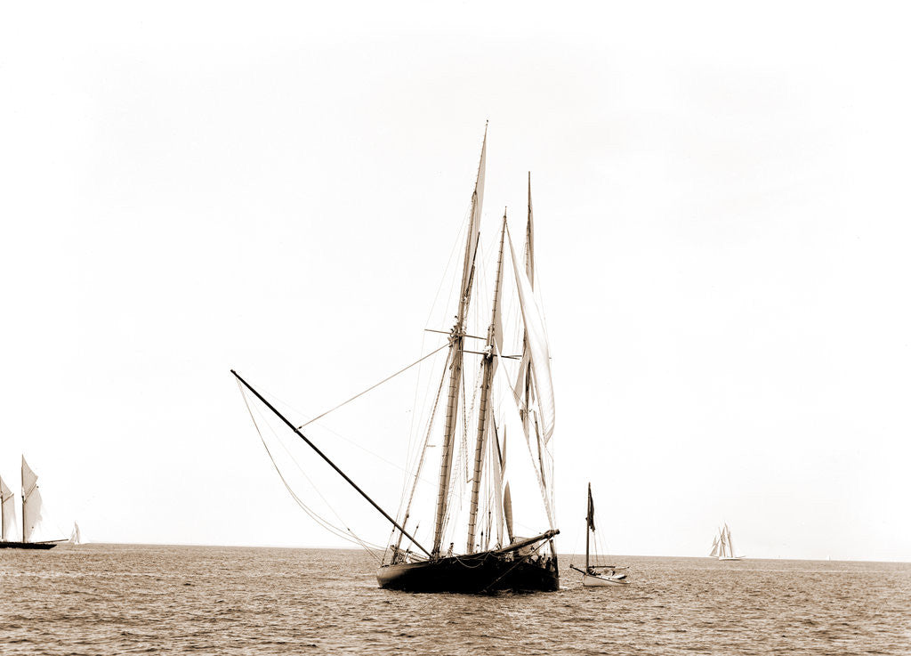 Detail of Gracie and Volunteer foul, Gracie (Yacht) by Anonymous