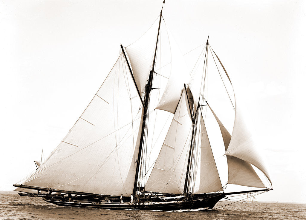 Detail of Constellation (Schooner), 1891 by Anonymous
