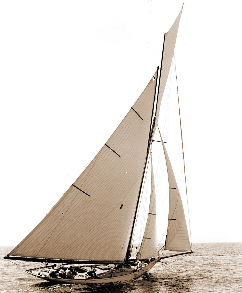 Beatrix, Corinthian sweepstakes, Corinthian Yacht Club, Harpoon (Yacht) by Anonymous