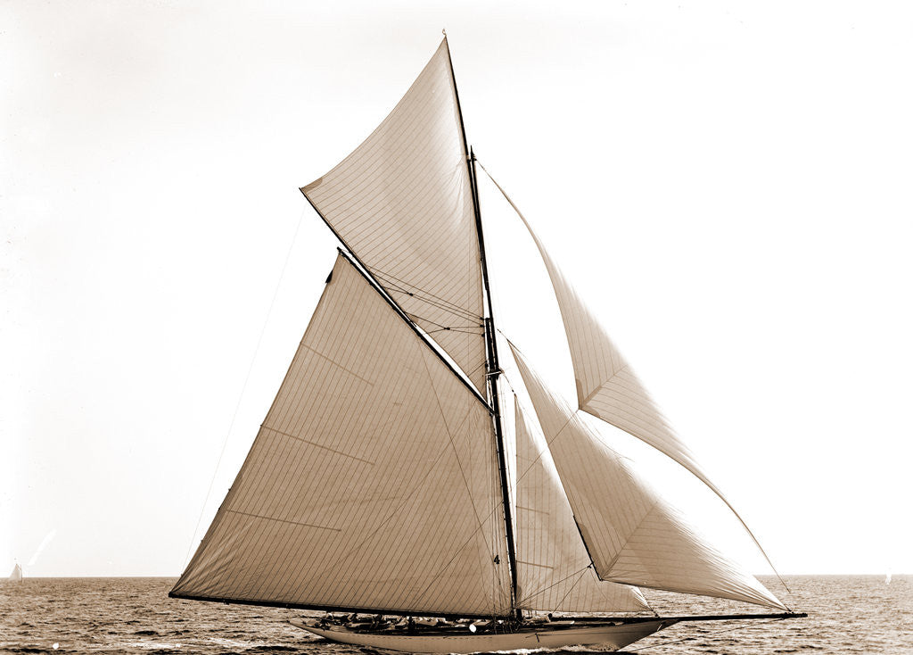 Detail of Gloriana, Corinthian sweepstakes, Corinthian Yacht Club, Gloriana (Yacht) by Anonymous