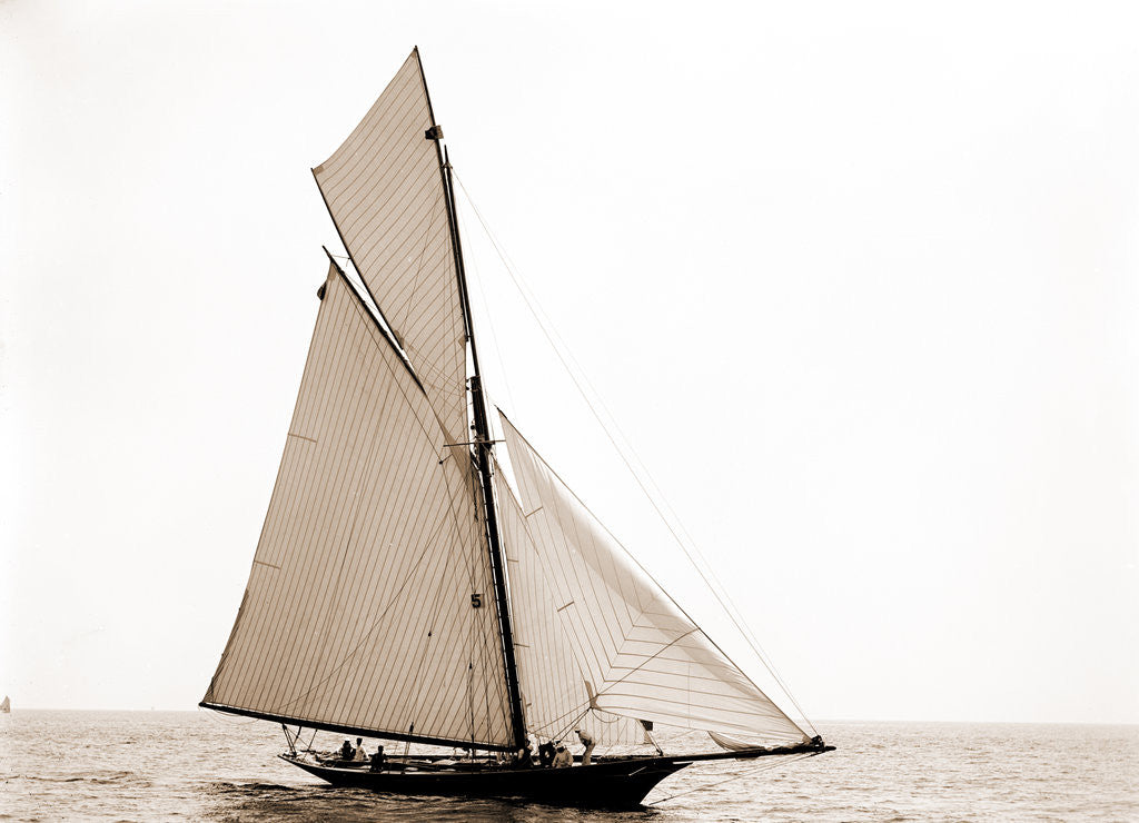 Detail of Jessica, Corinthian sweepstakes, Corinthian Yacht Club, Jessica (Yacht) by Anonymous