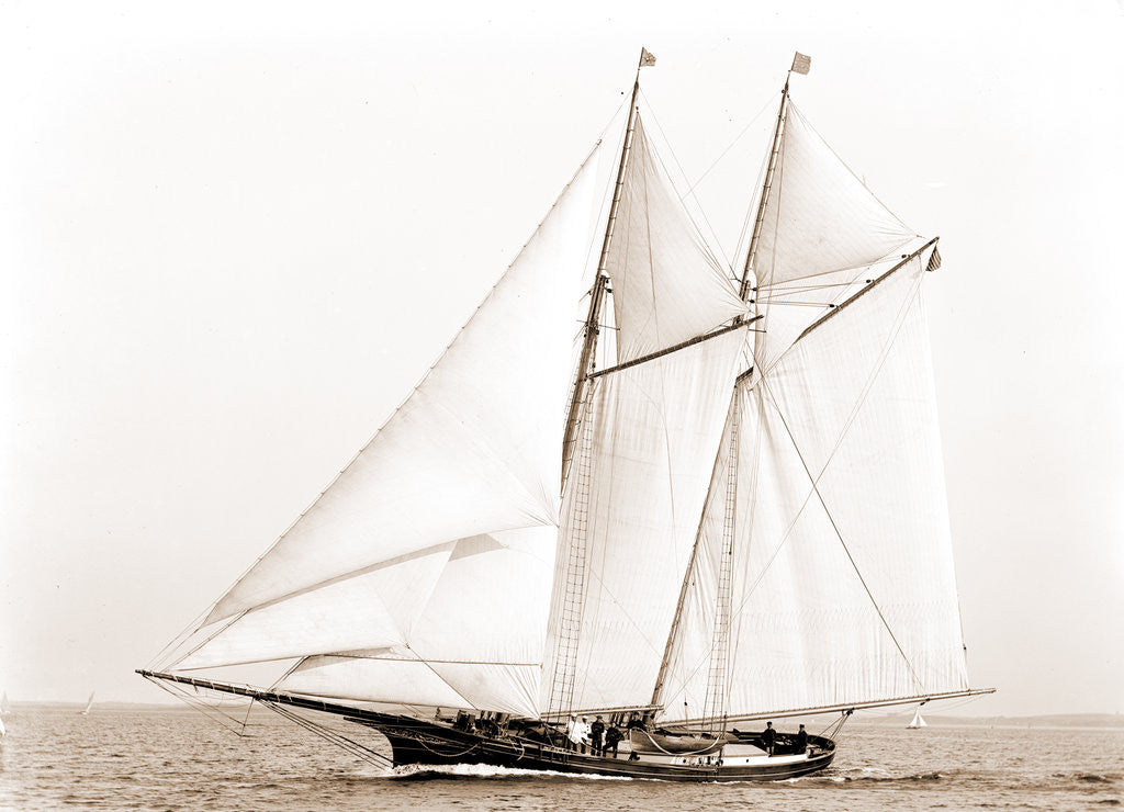Detail of Adrienne (Schooner), 1883 by Anonymous