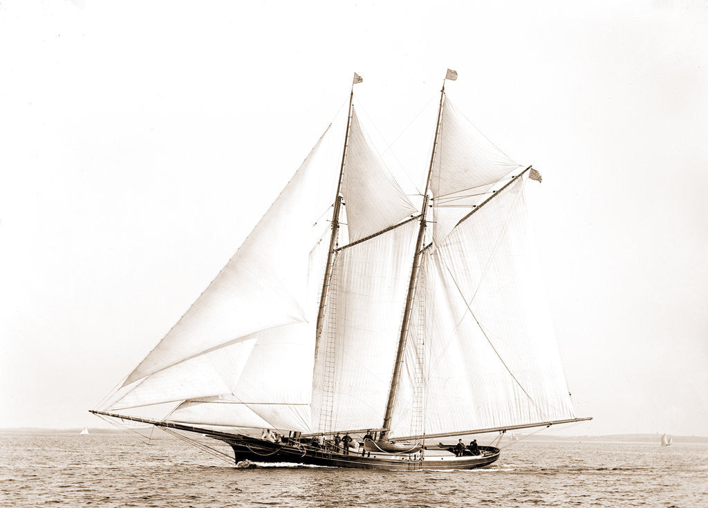 Detail of Adrienne (Schooner), 1883 by Anonymous