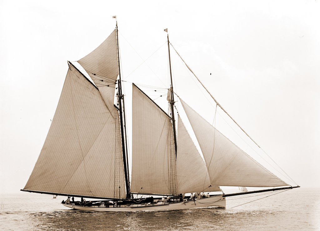 Detail of Mayflower (Schooner), 1891 by Anonymous