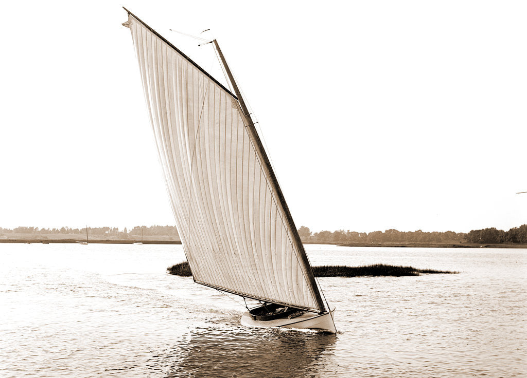 Detail of Rocket (Sailboat), 1880 by Anonymous