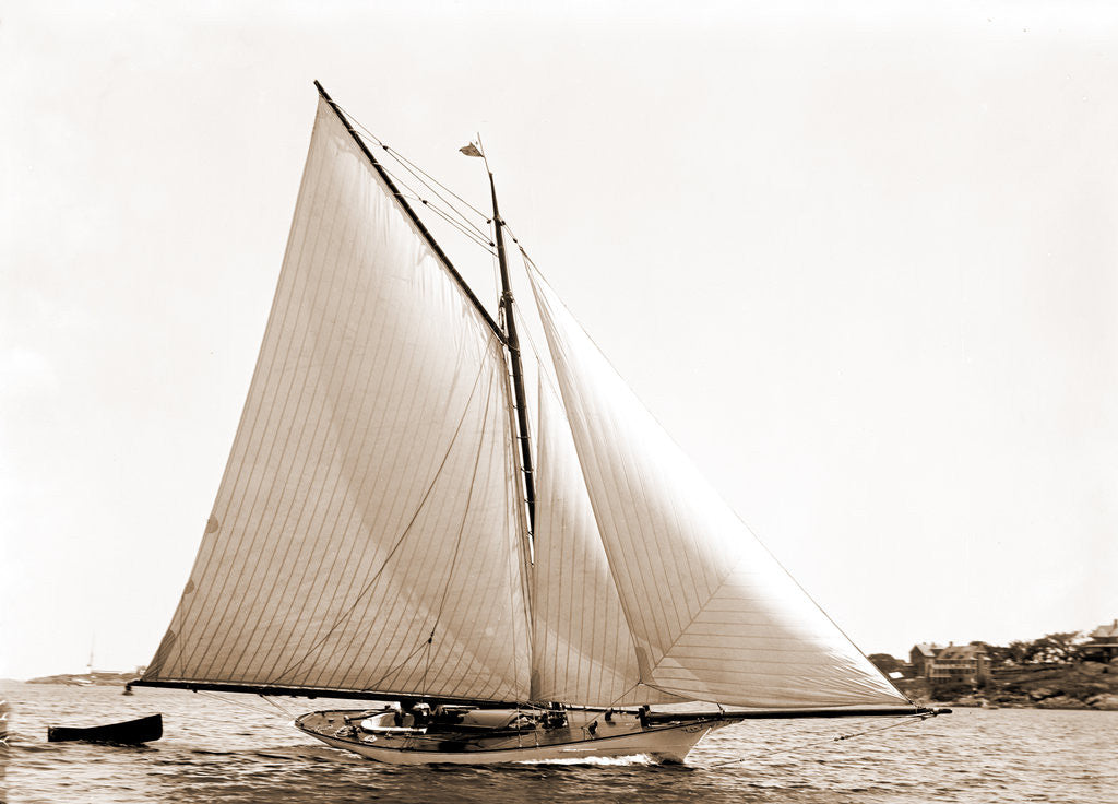 Detail of Lassie (Cutter), 1881 by Anonymous